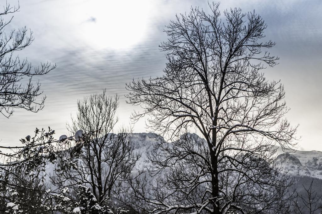 Apartamenty Gubalowka Zakopane Exteriör bild